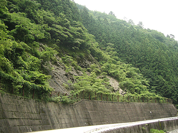 高知県香美市（R195）施工前写真